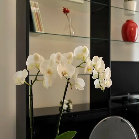 Smart House Санремо